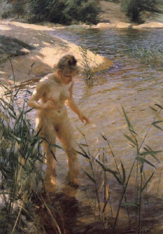 Anders Zorn Reflexer (Reflexions)